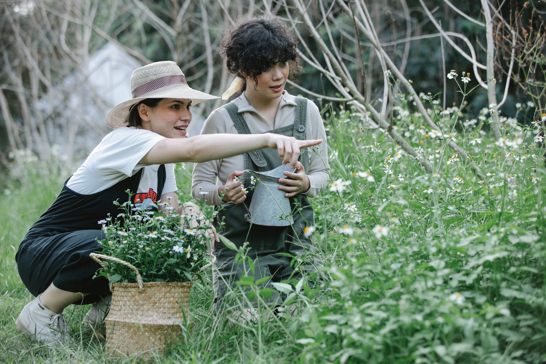 Two landscapers working together in a flowering garden